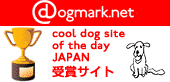 Cool Dog Site of the Day JAPAN